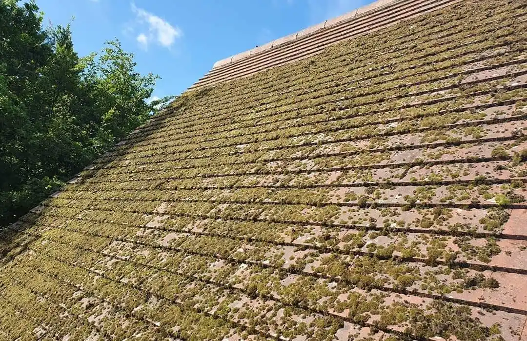 Roof clearance2